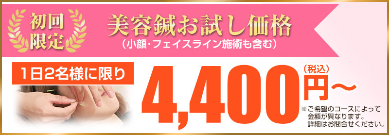 初回価格：4,400円～