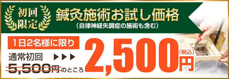 初回価格：2,500円