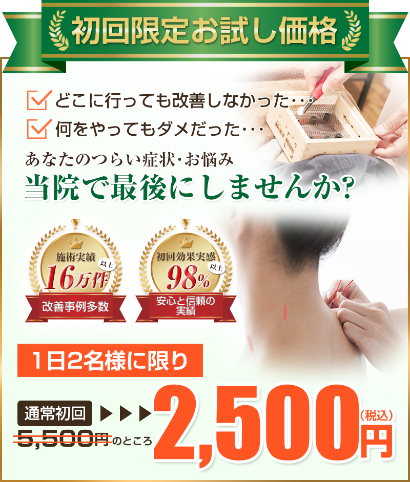初回価格：2,500円